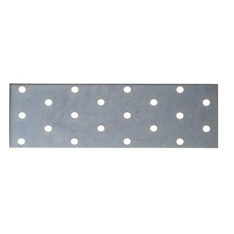 PLACA RECT. PESANTE PERF.50x120 mm.50