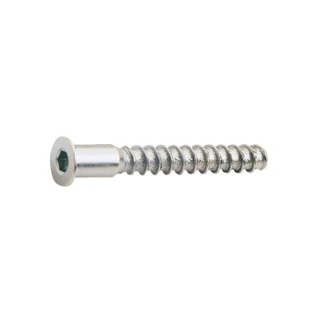 TORNILLO ENSAMBLAR 5X50mm PAV. 6U.EHS