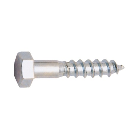 TORNILLO CINC. DIN 571 10X60