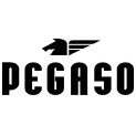 Pegaso Eyewear